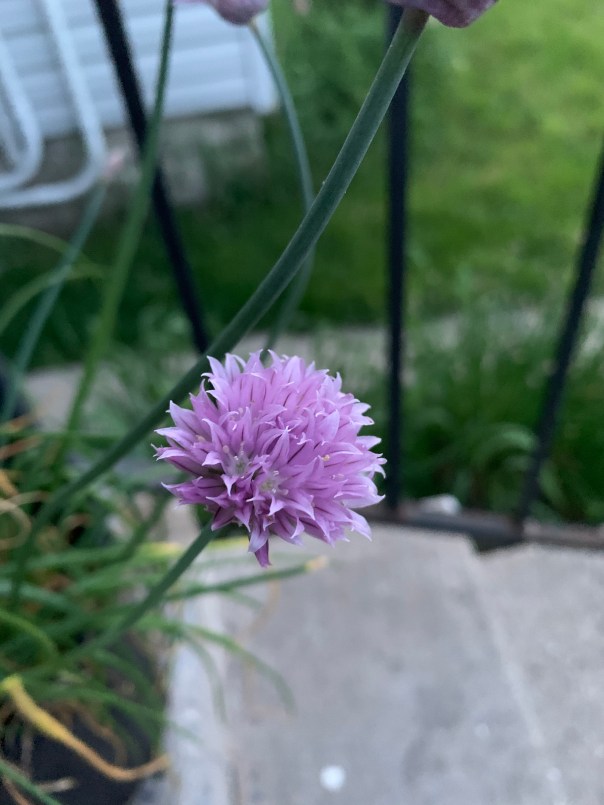 6877831F-D03E-4CA6-ABDE-4DDCD14876C6